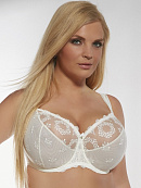 FORTUNA ECRI Soft