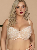 BETTY COFFEE Halfcupsoft